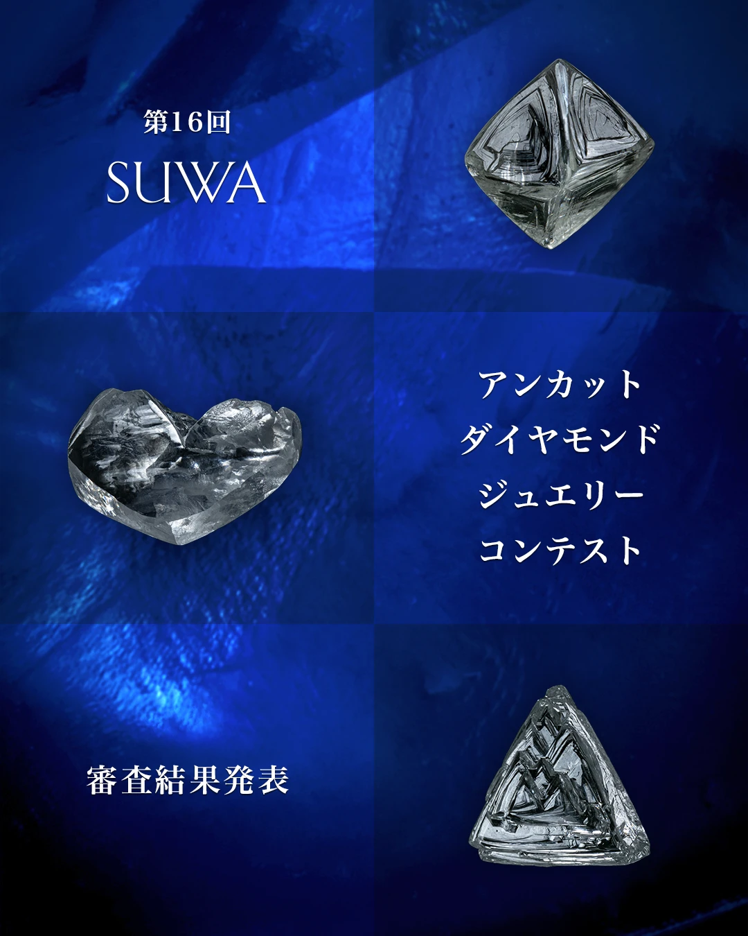 ゲルマニウム♦️ルビー♦️リングジュエリー　SHINWA ゲルマニウム♦️ルビー♦️リングジュエリー SHINWA