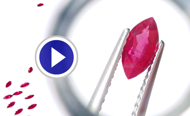 ビデオギャラリー