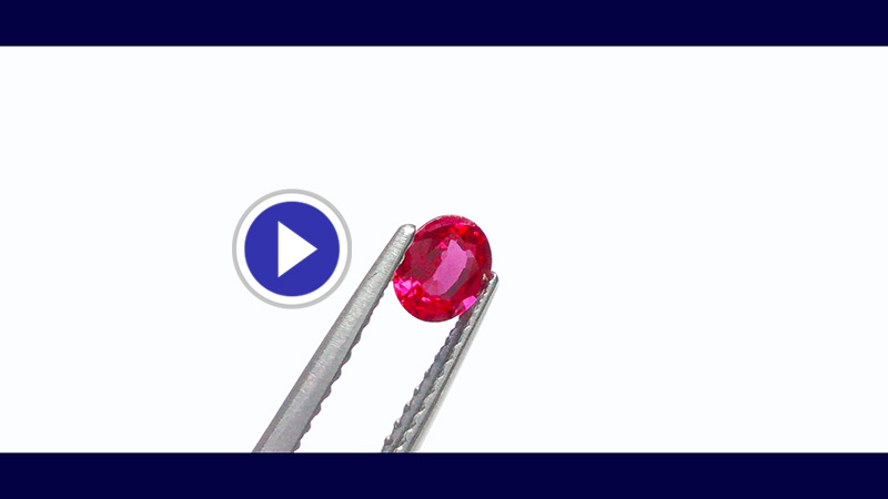 SUWAで買わないルビーを見る